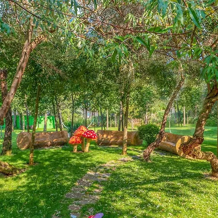 Harmony Grand Апарт-отель Солнечный берег